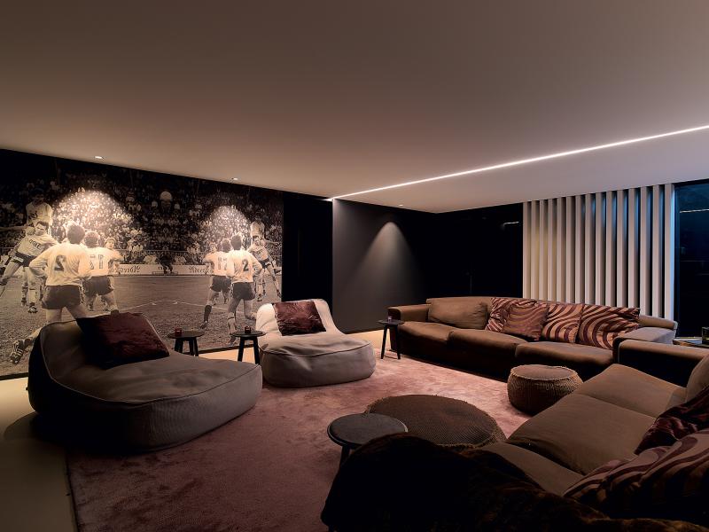 Plafond Barrisol - salon